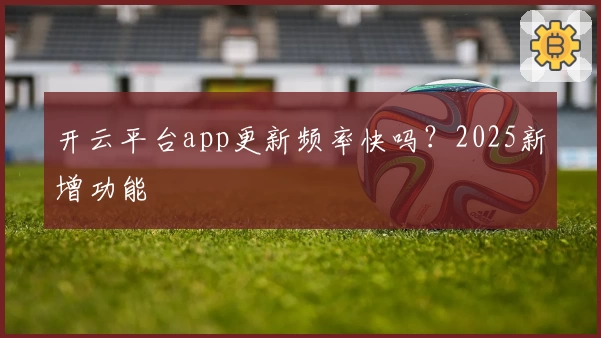 开云平台app更新频率快吗？2025新增功能