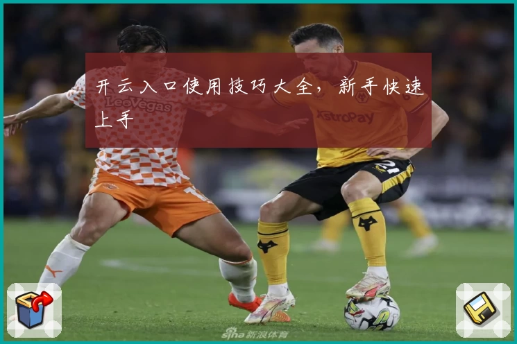 开云入口使用技巧大全，新手快速上手