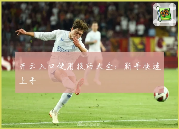 开云入口使用技巧大全，新手快速上手