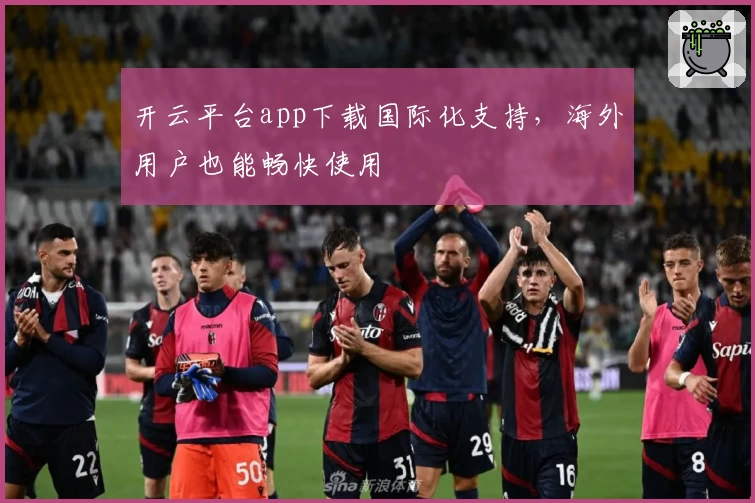 开云平台app下载国际化支持，海外用户也能畅快使用
